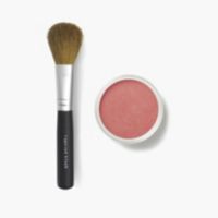 Blush & Tapered Blush Brush Bundle